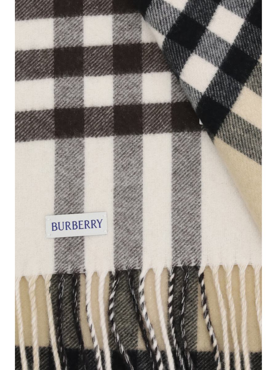 Burberry Scarves