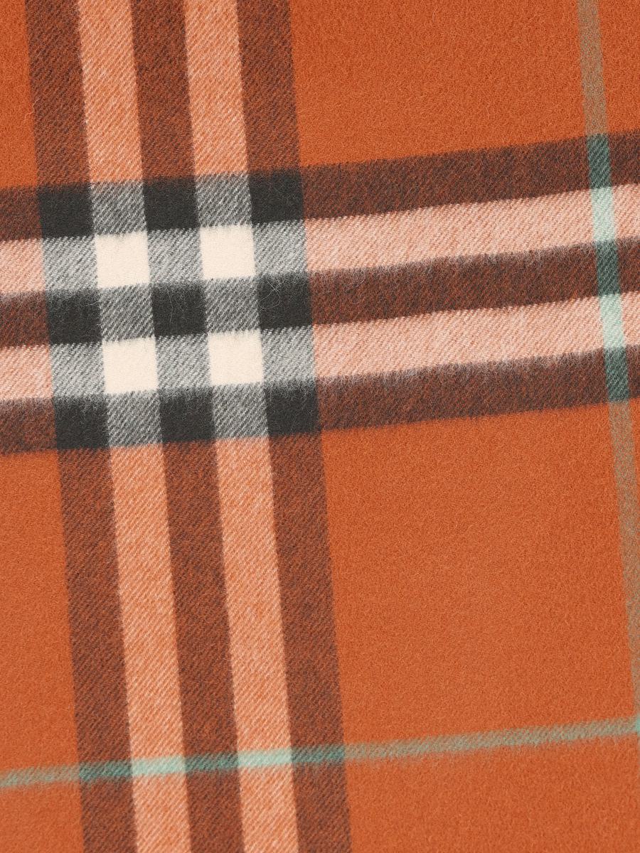 Burberry Scarves