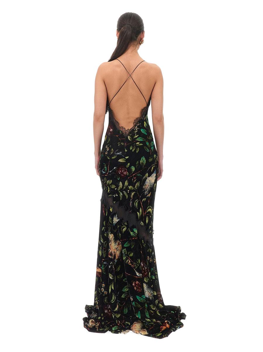 Roberto Cavalli Long Dress