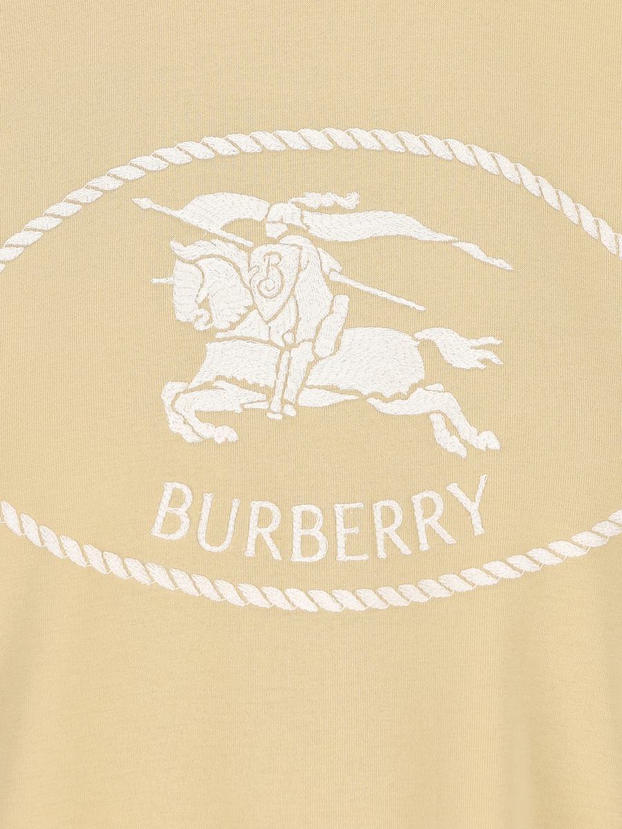 Burberry T-Shirt And Polo Shirt