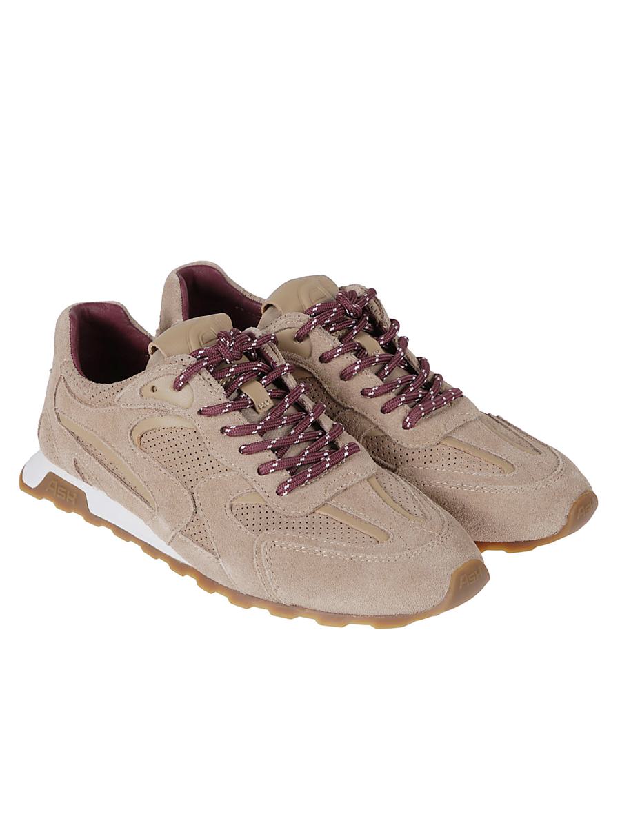 Ash Sneakers