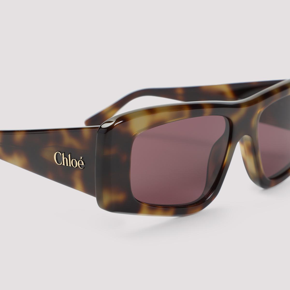 Chloé Glasses