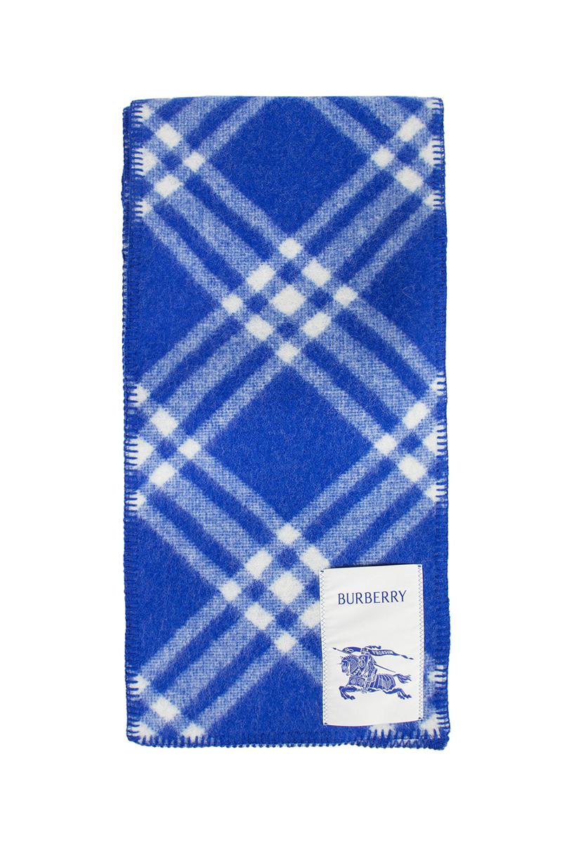Burberry Scarves
