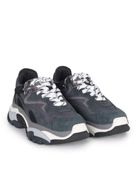 Ash  "Addict" Sneakers