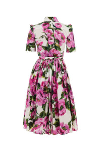 Dolce & Gabbana Dress