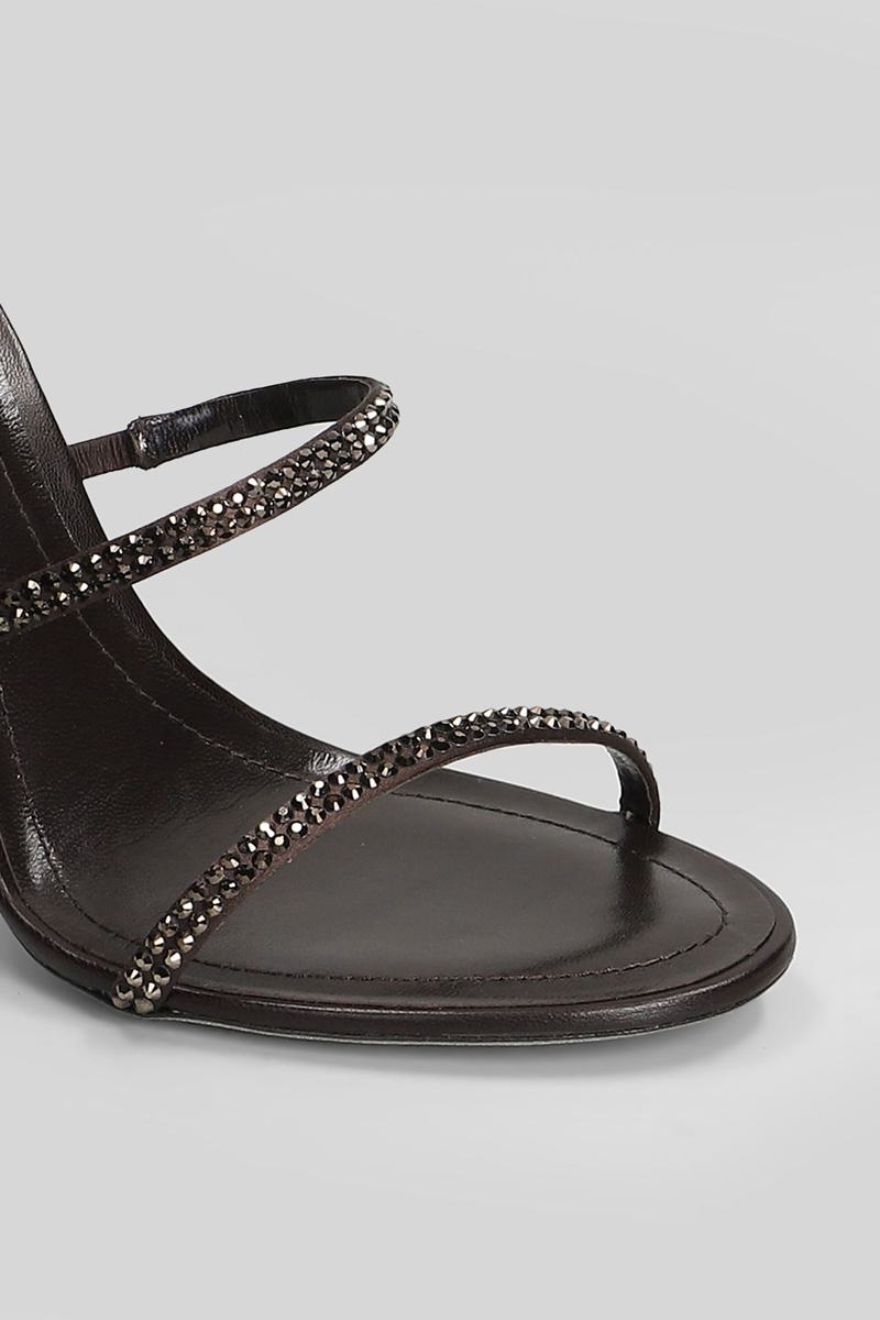 René Caovilla Cleo Sandals