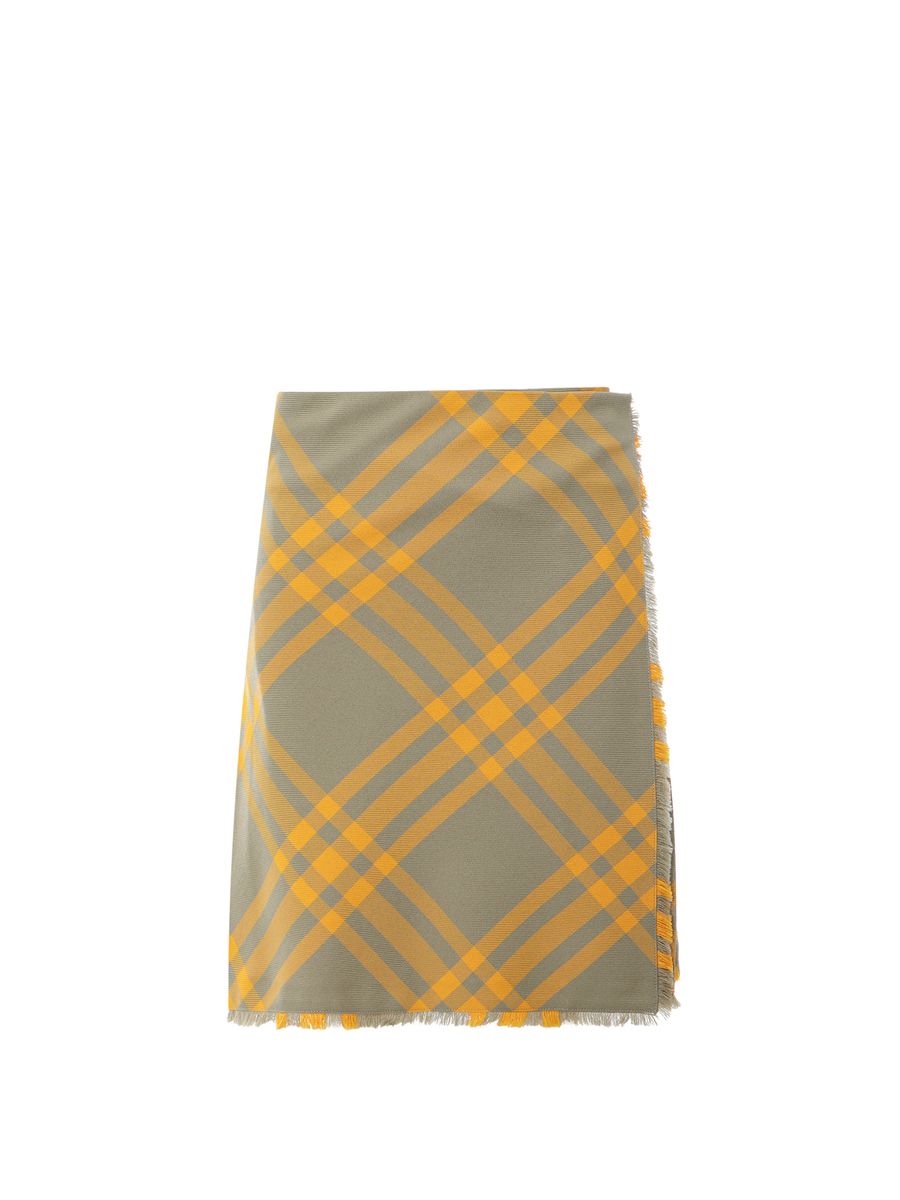 burberry-skirt-1765534562008644089-0
