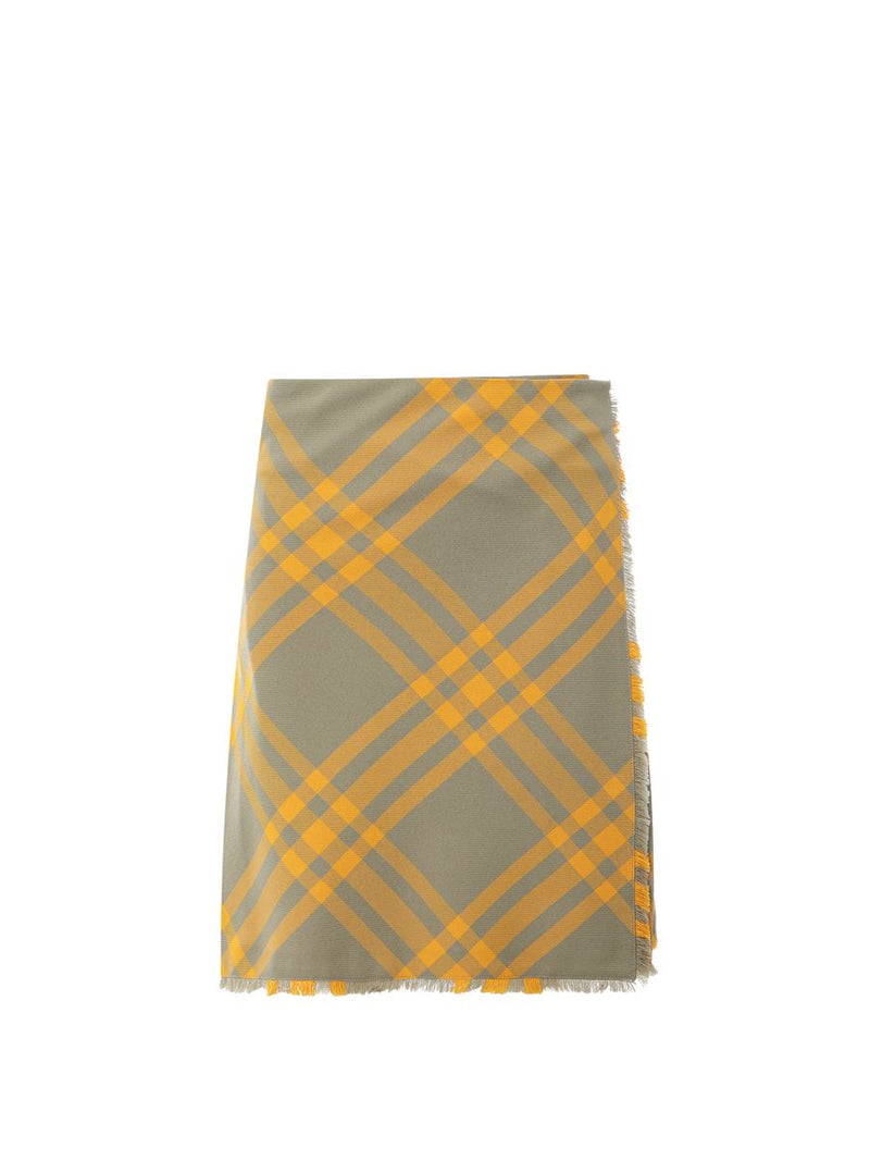 burberry-skirt-1765534562008644089-0