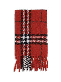 Burberry Scarves