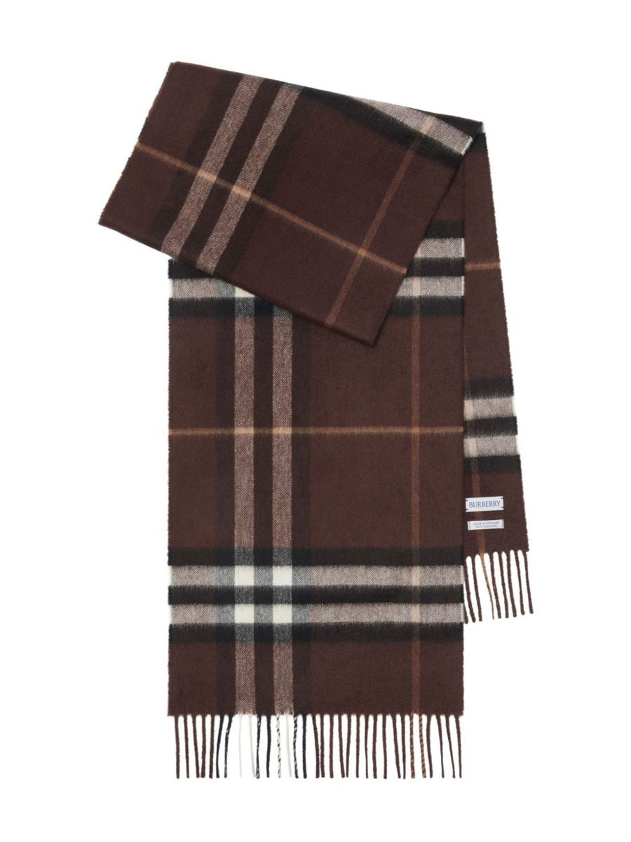 Burberry Scarfs