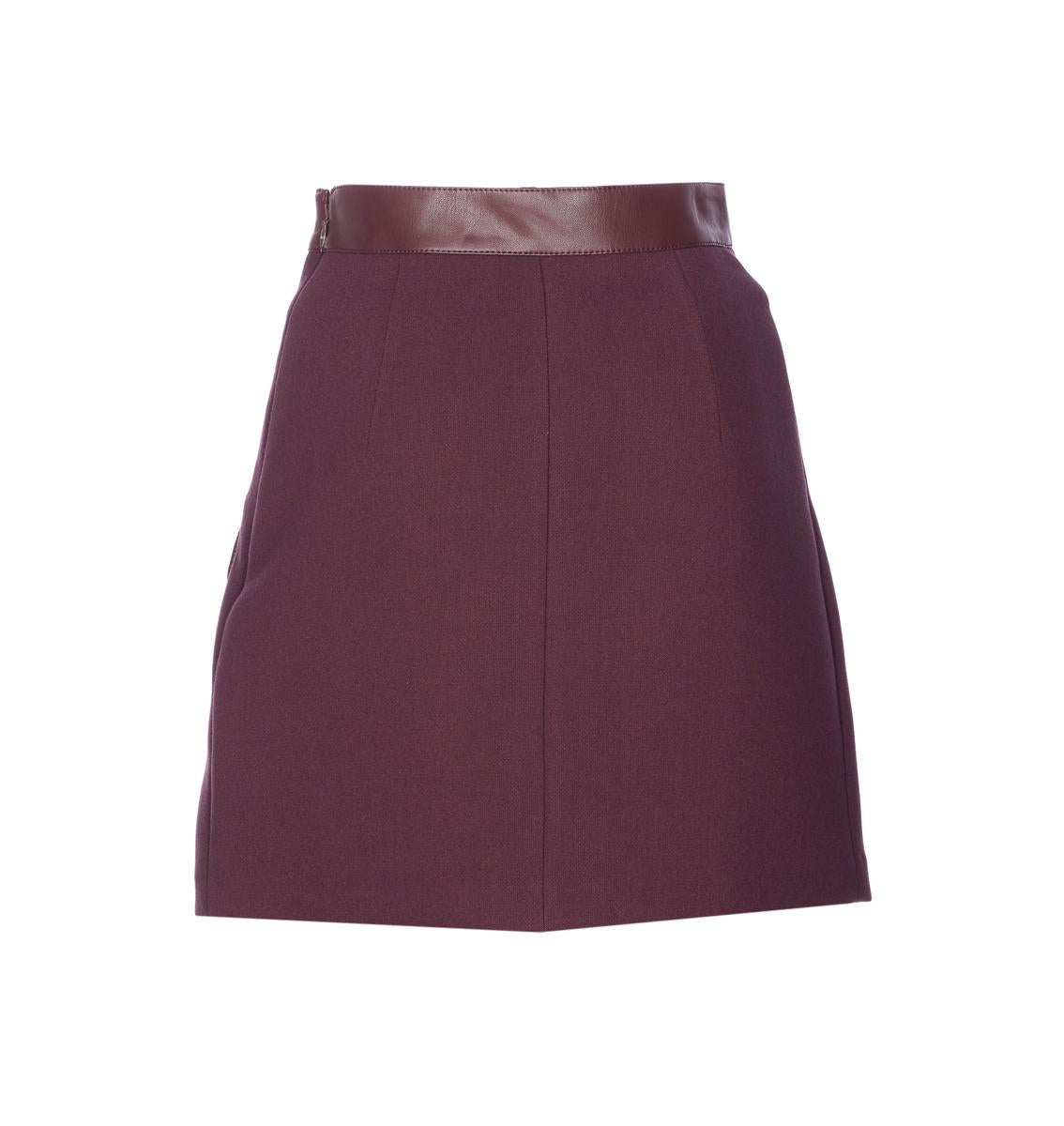 Elisabetta Franchi Skirts