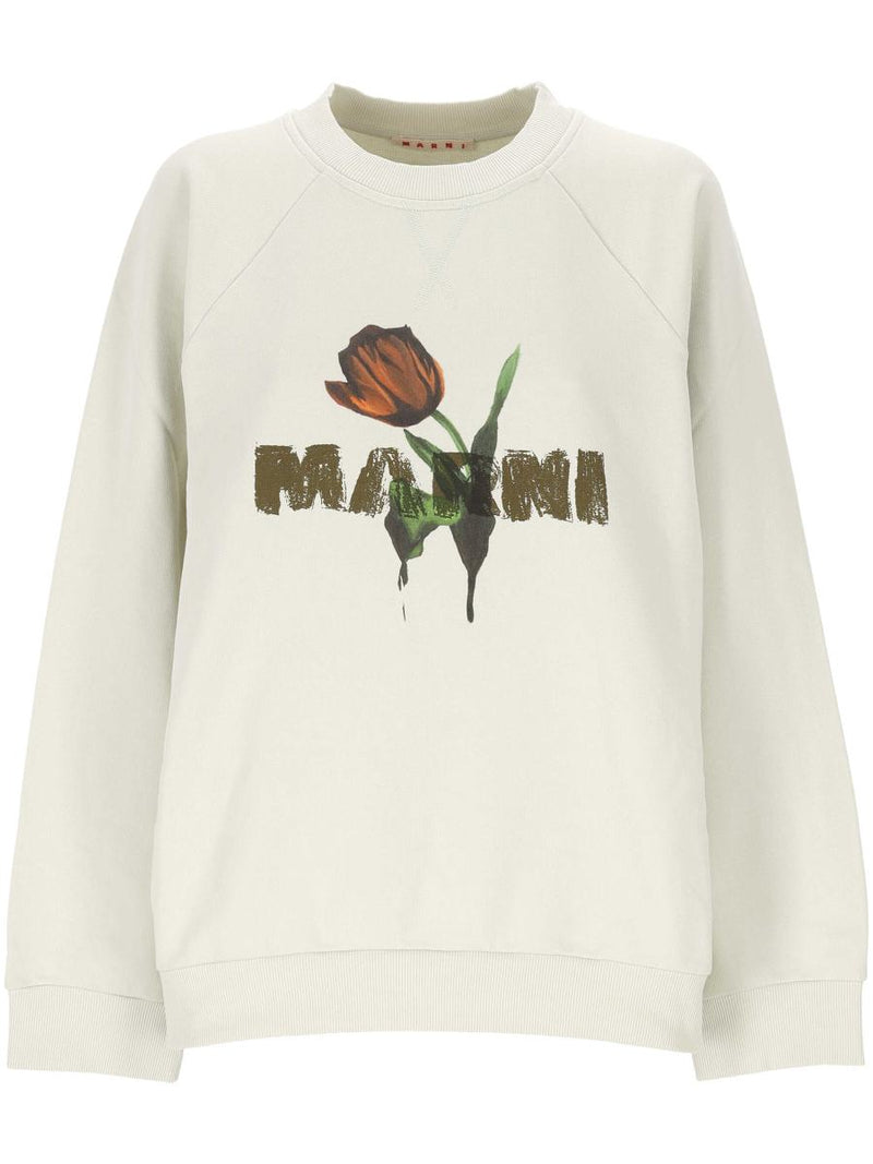 Marni Sweaters