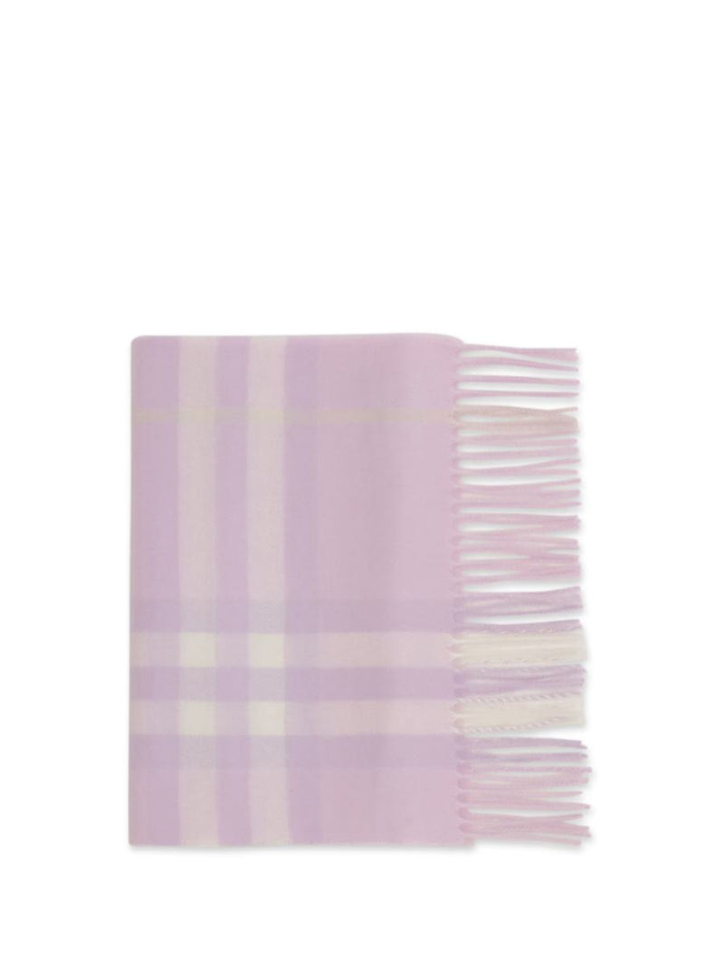 Burberry Scarves