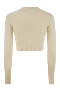 Sportmax Fragola - Cashmere And Wool Sweater