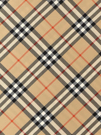 Burberry Check Scarf