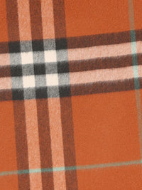Burberry Scarves
