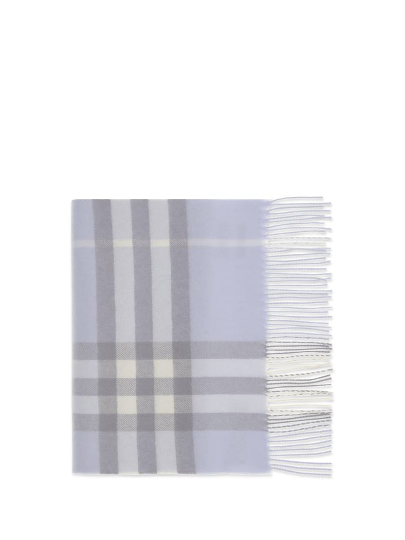 Burberry Scarves