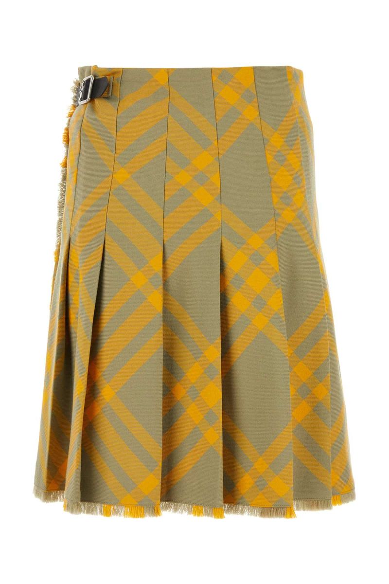 burberry-skirt-1765534562008644089-2