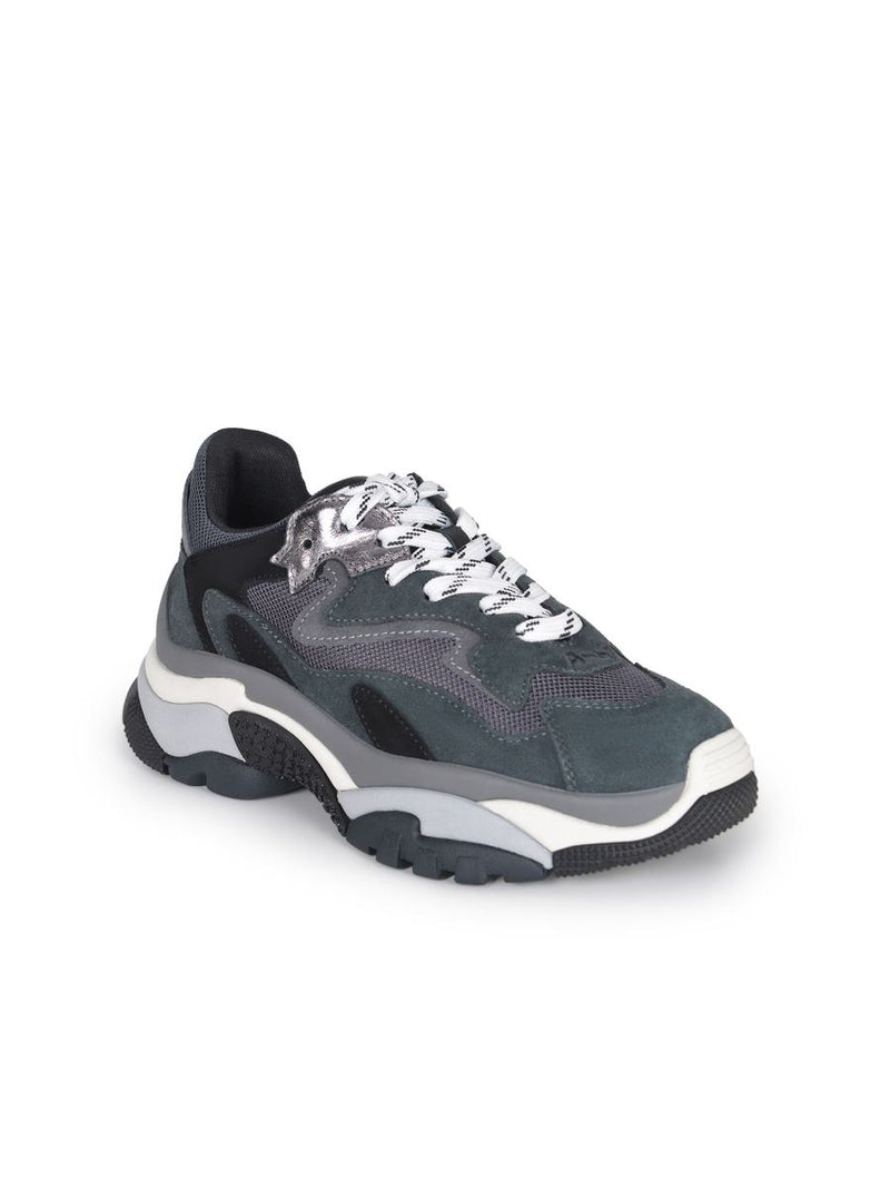 Ash  "Addict" Sneakers