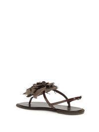 Le Silla Sandals