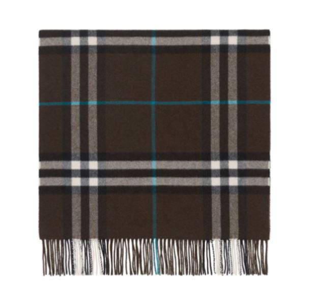 Burberry Scarfs