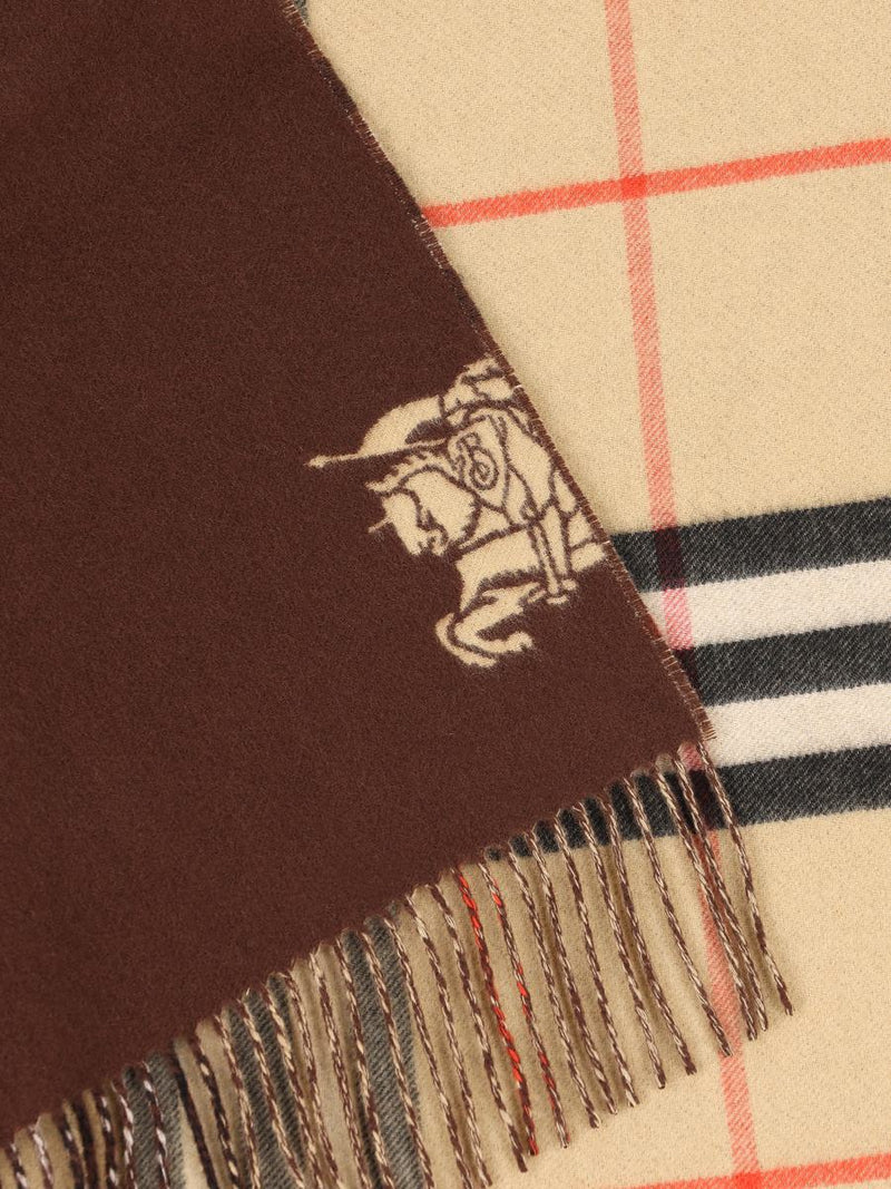 Burberry Scarves