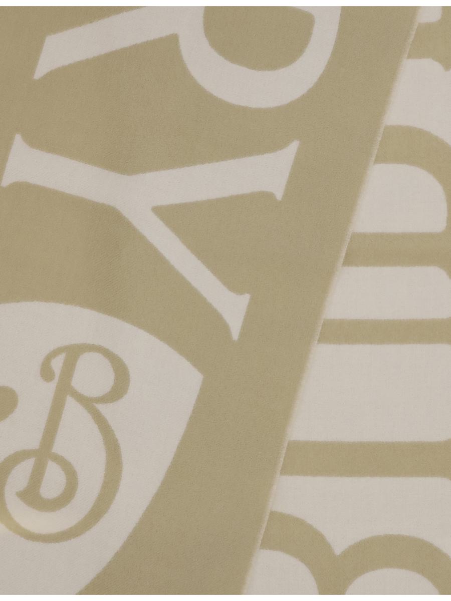Burberry Scarves