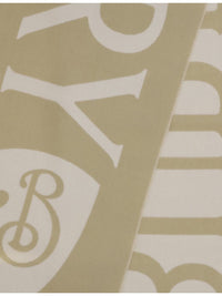 Burberry Scarves