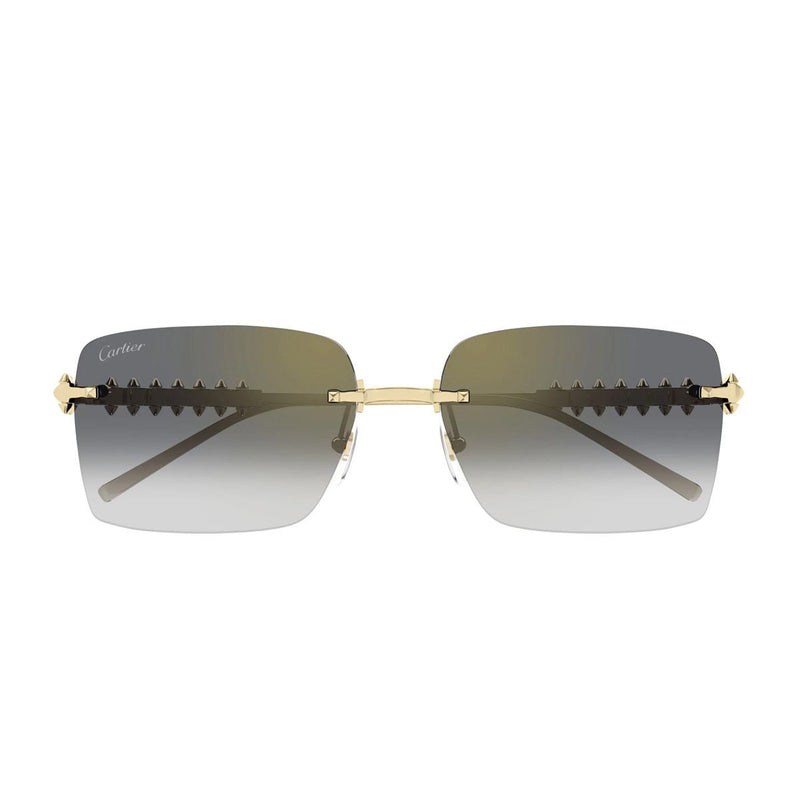 Cartier Ct0545S Clash De Sunglasses