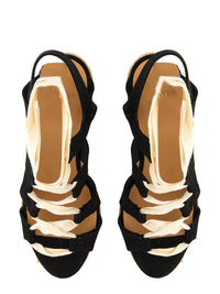 Castañer Espadrille Balta/8Ed/053