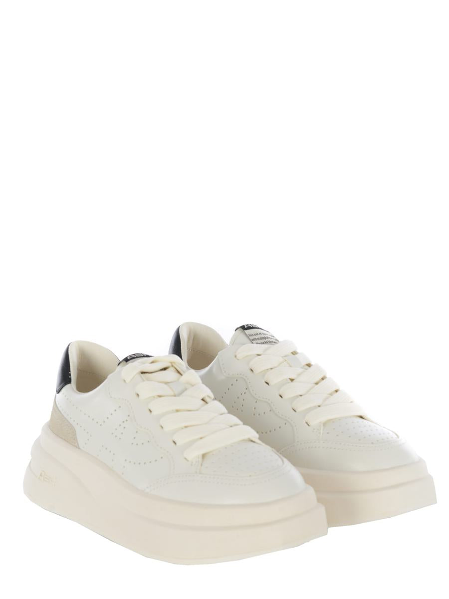 Ash  Sneakers