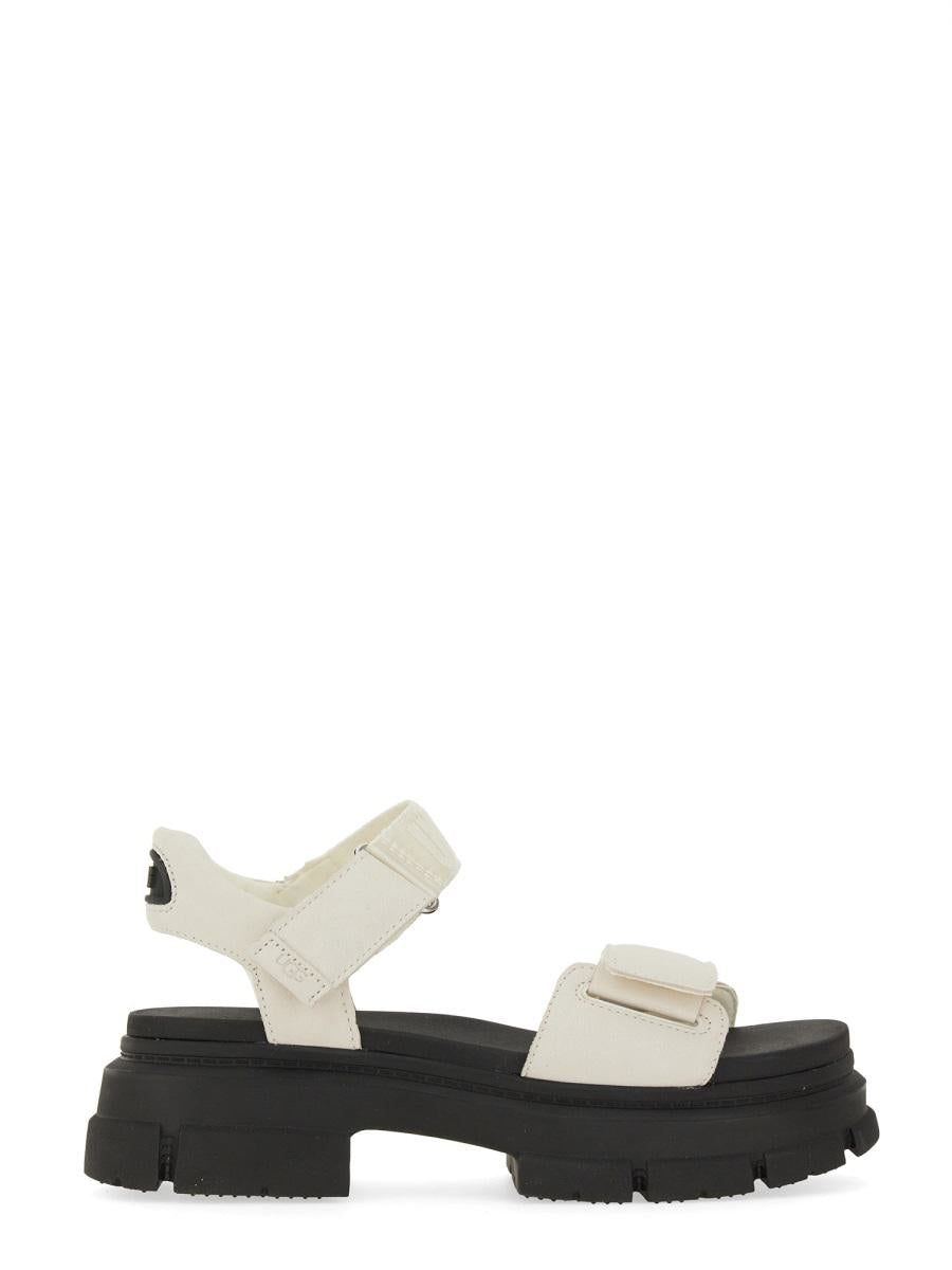 UGG Sandal "Ashton"