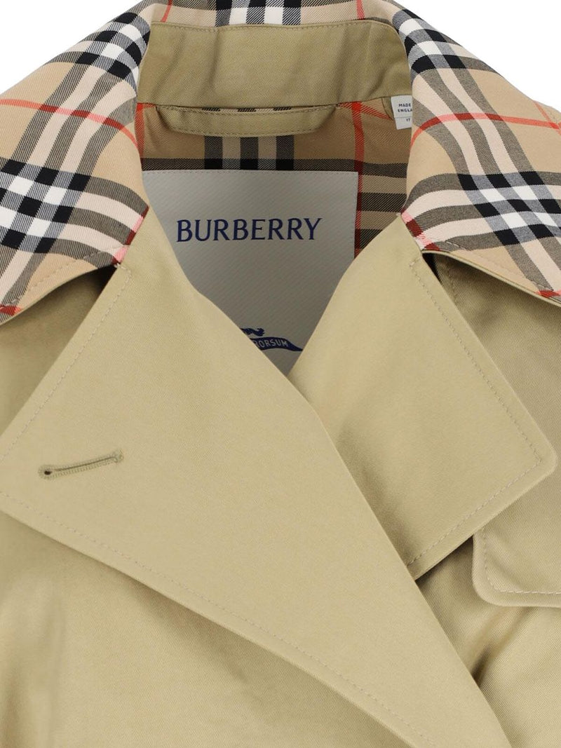 burberry-trench-1764881722009500974-2