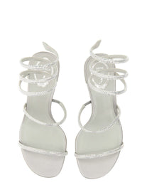 René Caovilla Sandalo "Cleo"