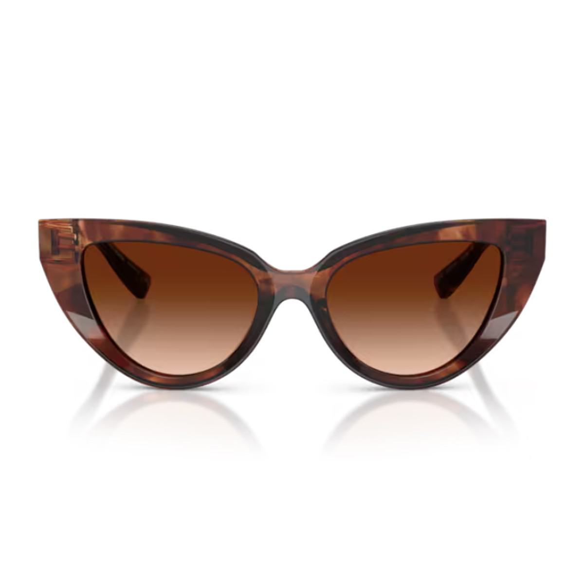 Dolce & Gabbana Dg4497 Dg Hinge Sunglasses