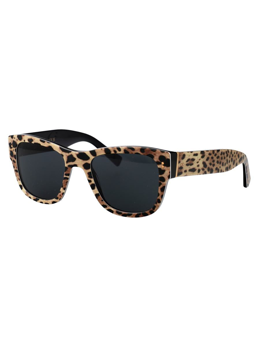 Dolce & Gabbana Sunglasses