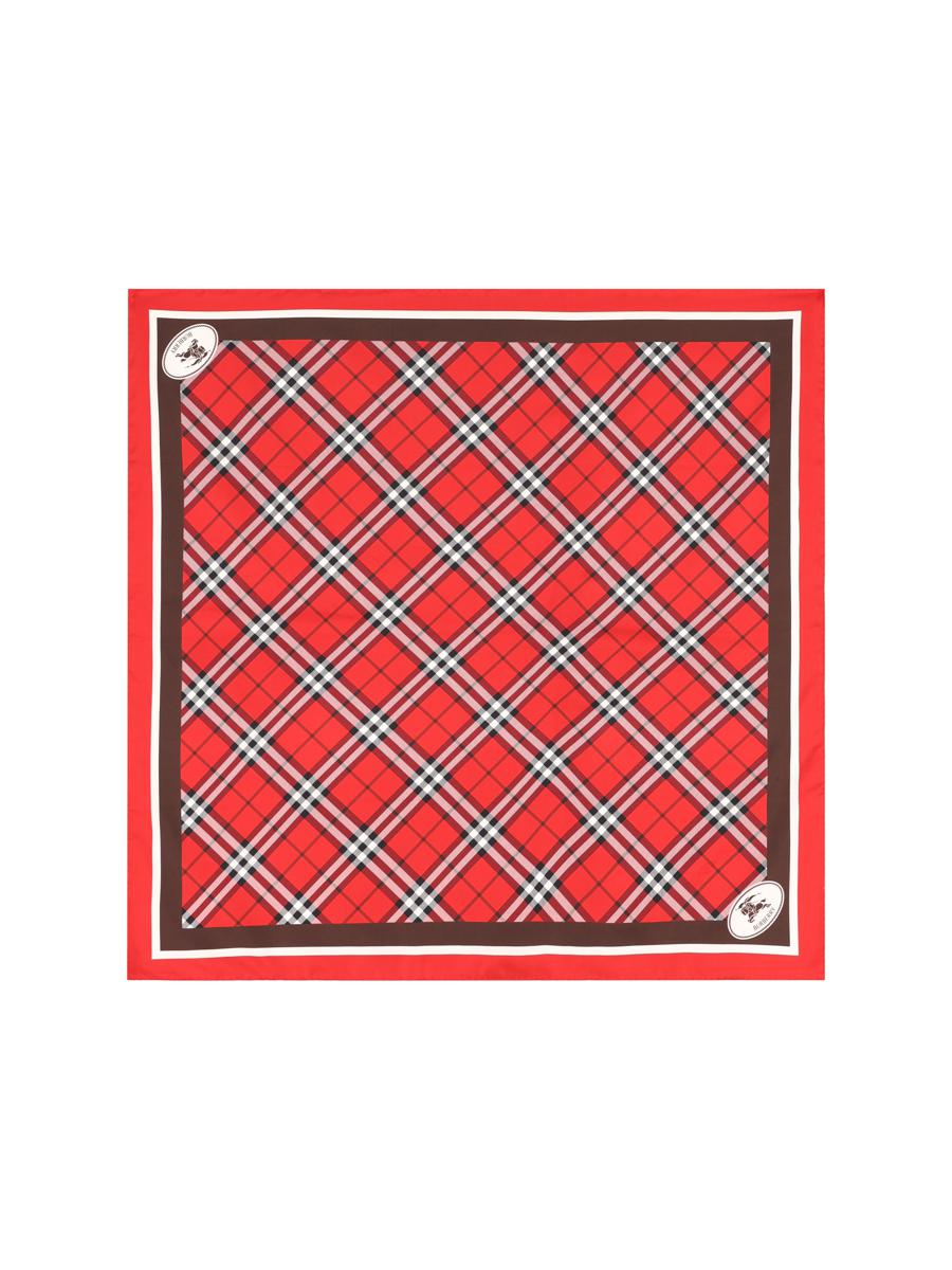 Burberry Scarves