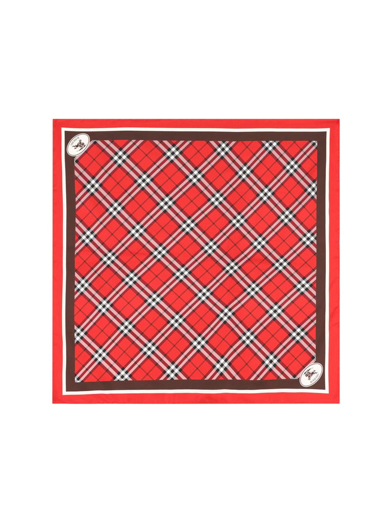 Burberry Scarves