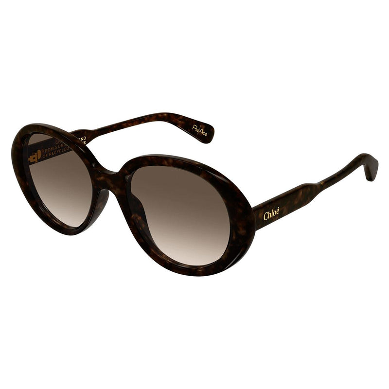 Chloé Sunglasses