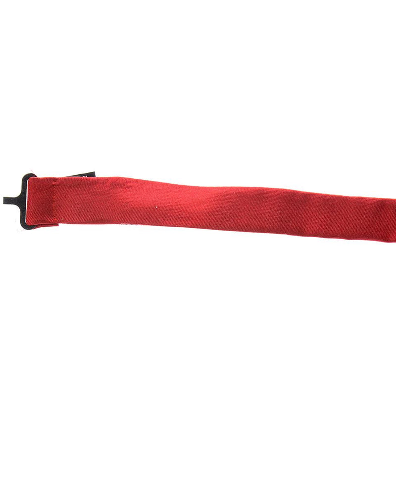 Daniele Alessandrini Other