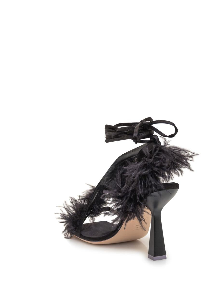 Sebastian Marie Sandalwood