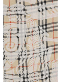 burberry-scarves-and-foulards-1764870304008830191-2