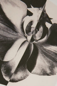 Alexander McQueen Sweatshirts