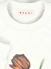 Marni Sweaters