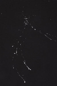 Dolce & Gabbana T-Shirts And Polos