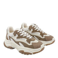Ash Sneakers