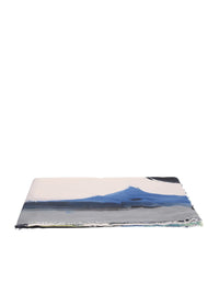 Faliero Sarti Scarves