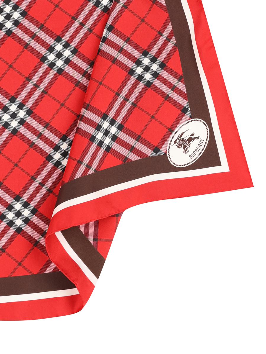 Burberry Scarves