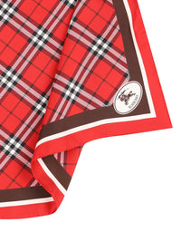 Burberry Scarves
