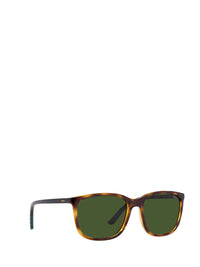 Polo Ralph Lauren Sunglasses
